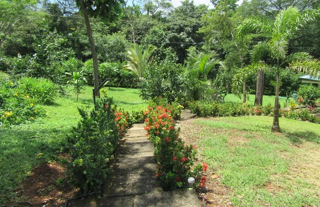 Mimi Lodge Costa Rica-1