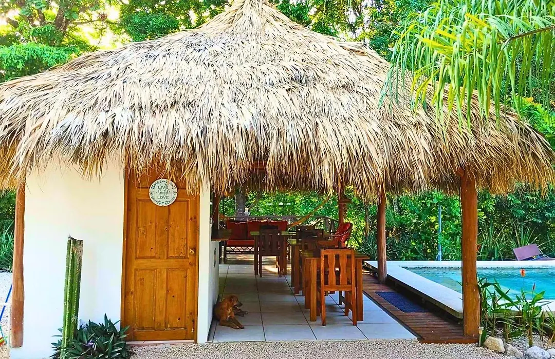 Antema Lodge Secteur Tamarindo, piscine, yoga, gym, jungle et paix-1