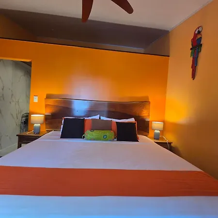 Hotel La Palapa-3
